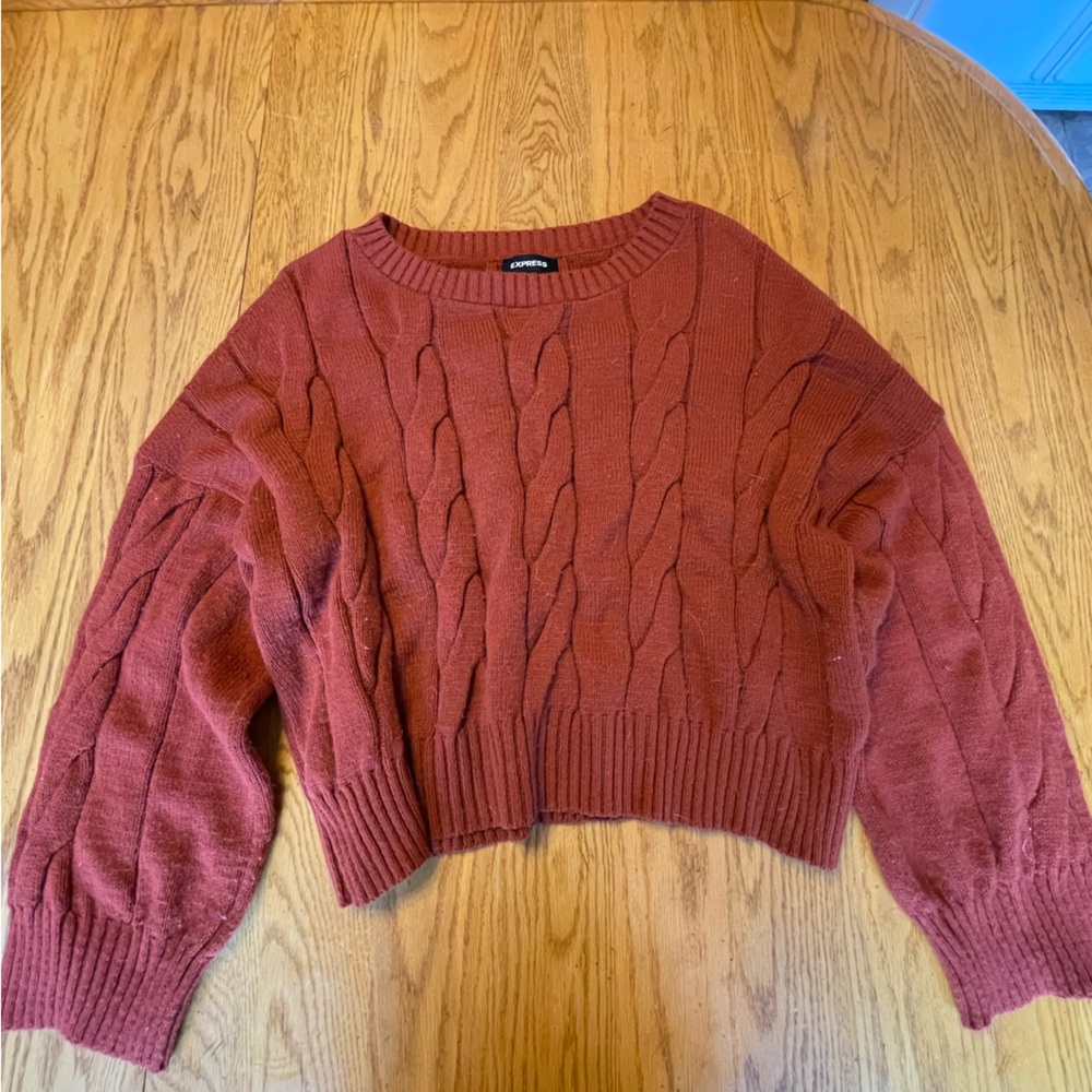 Burnt orange crop sweater from express